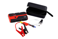 Пусковое устройство 01.13825.17934 VERTON Energy SD-1800