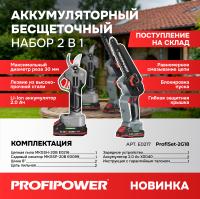 Аккумуляторный бесщеточный E0217 НАБОР 2в1 PROFIPOWER ProfiSet-2G20