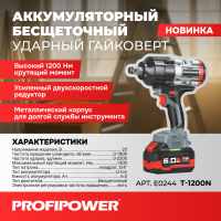 Аккумуляторный бесщеточный ударный гайковерт E0244 PROFIPOWER T-1200N