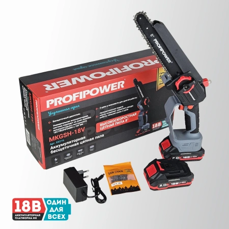 Аккумуляторная цепная пила бесщеточная E0216 PROFIPOWER MKGSH-18V