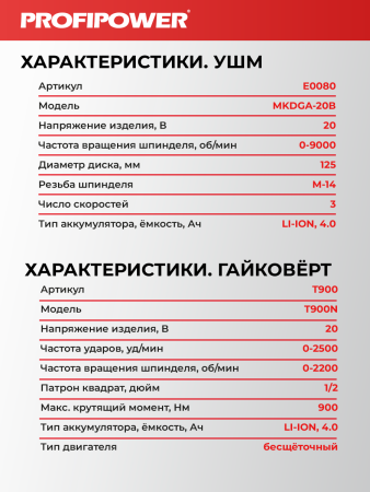 Аккумуляторный бесщеточный E0286 НАБОР 2в1 PROFIPOWER ProfiSet-2H20