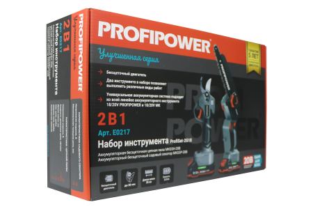 Аккумуляторный бесщеточный E0217 НАБОР 2в1 PROFIPOWER ProfiSet-2G20