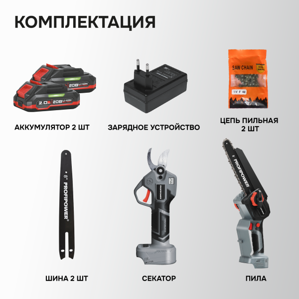 Аккумуляторный бесщеточный E0217 НАБОР 2в1 PROFIPOWER ProfiSet-2G20