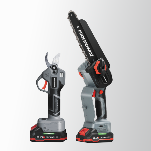 Аккумуляторный бесщеточный E0217 НАБОР 2в1 PROFIPOWER ProfiSet-2G20